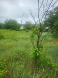 Продава ПАРЦЕЛ, град Плевен, Дружба 4 • 119900 € • 57668557 — Holmes.bg