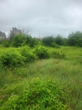 Продава ПАРЦЕЛ, град Плевен, Дружба 4 • 119900 € • 57668557 — Holmes.bg