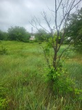 Продава ПАРЦЕЛ, град Плевен, Дружба 4 • 119900 € • 57668557 — Holmes.bg
