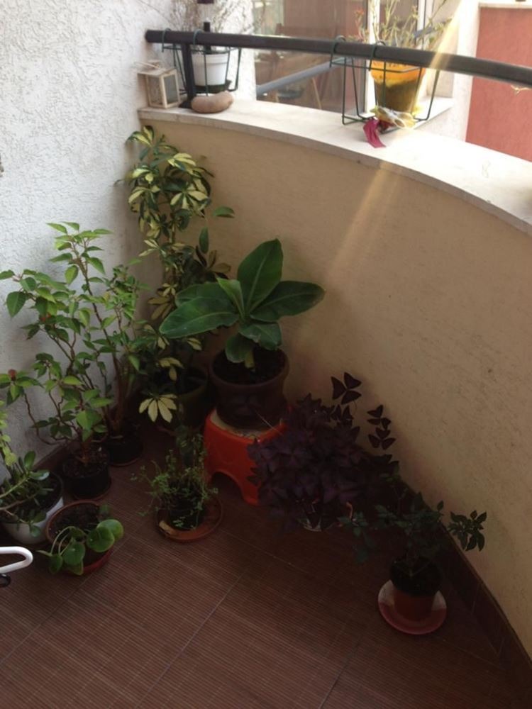 ������� 3-����� | Imot.bg � ����������� 5