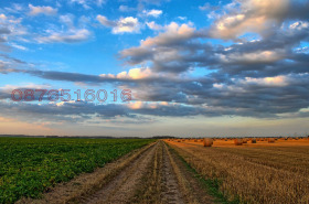 Tierra Rositsa, región Dóbrich 1