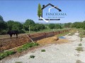 Продава ПРОМ. ПОМЕЩЕНИЕ, област Шумен, с. Кочово • 100000 € • 69543937 — Holmes.bg