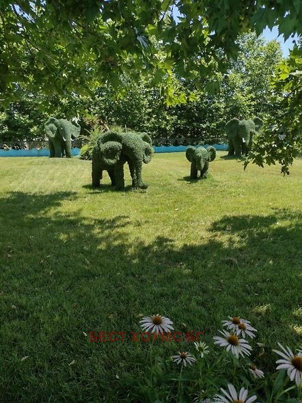 ������� 3-����� | Imot.bg � ����������� 17