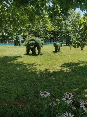 ������� 3-����� | Imot.bg � ����� ������ 17