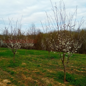 ������� ���������� ���� | Imot.bg � ����� ������ 2