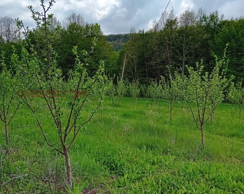 Продава  Земеделска земя област София , с. Осиковска Лакавица , 45 дка | 75496604 - изображение [4]
