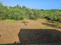 Продава ВИЛА, област София, с. Елешница • 75000 € • 14286246 — Holmes.bg