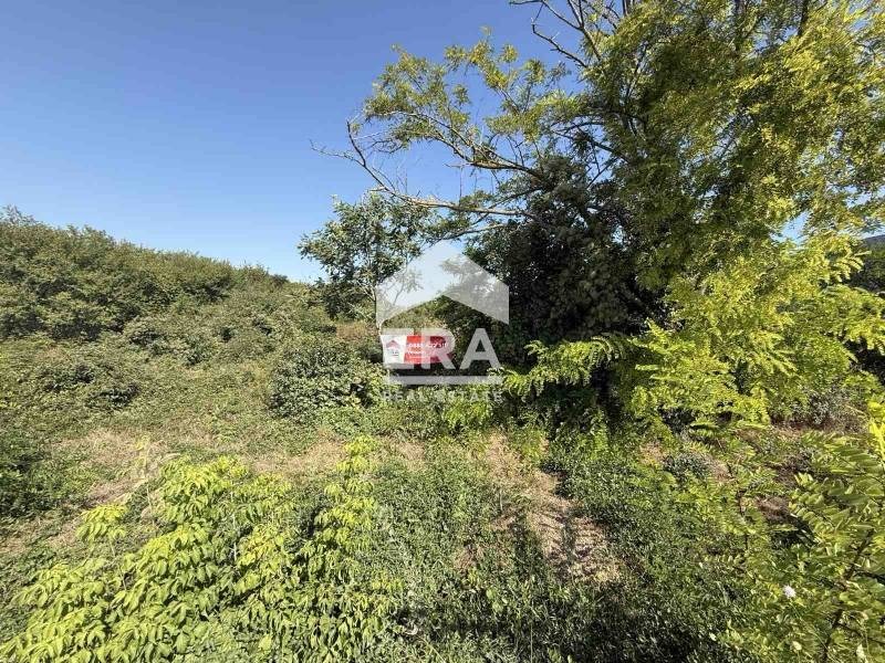 ������� ������ | Imot.bg � ����������� 3