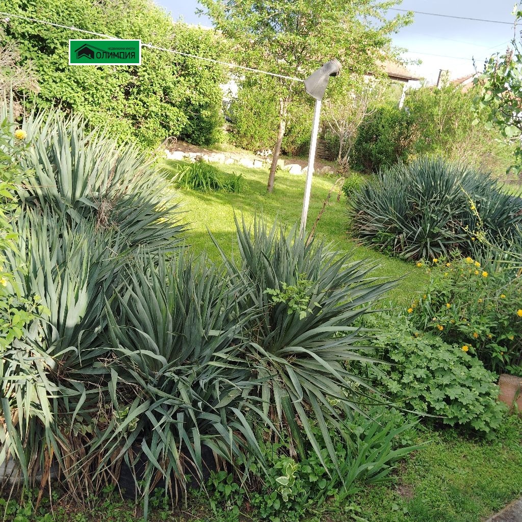 ������� ���� | Imot.bg � ����������� 4