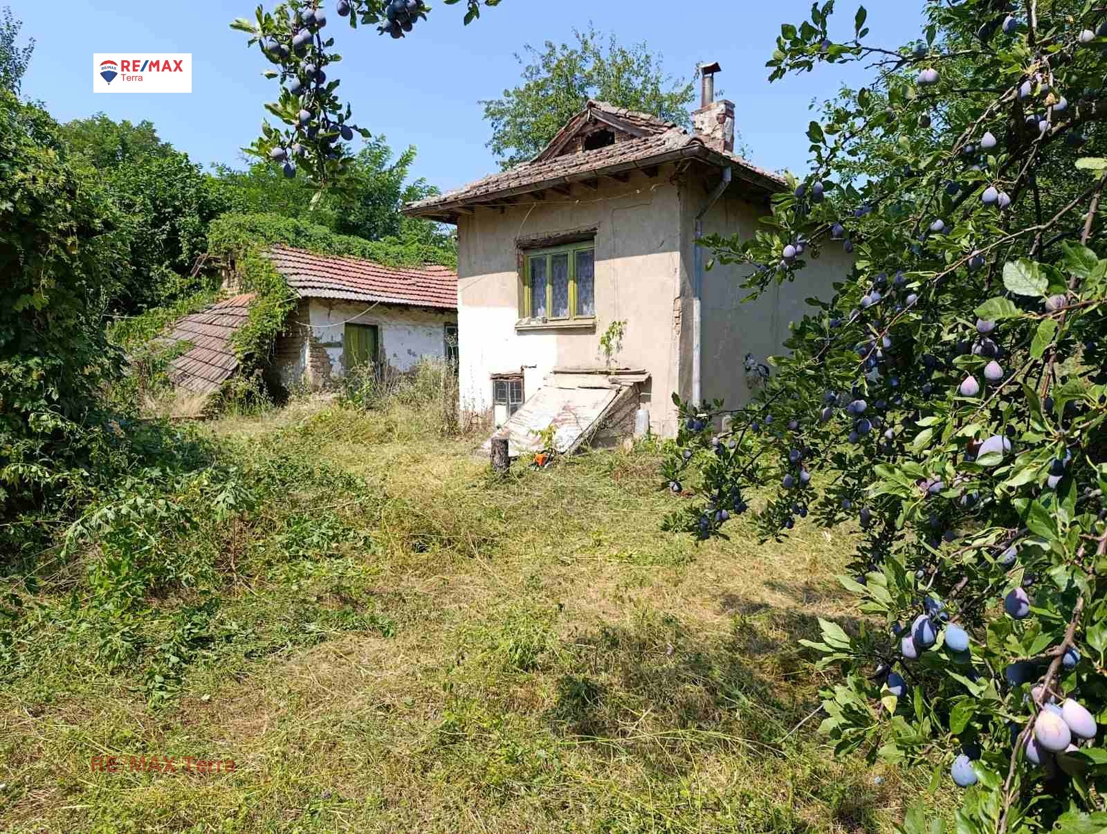 ������� ���� | Imot.bg � ����������� 13