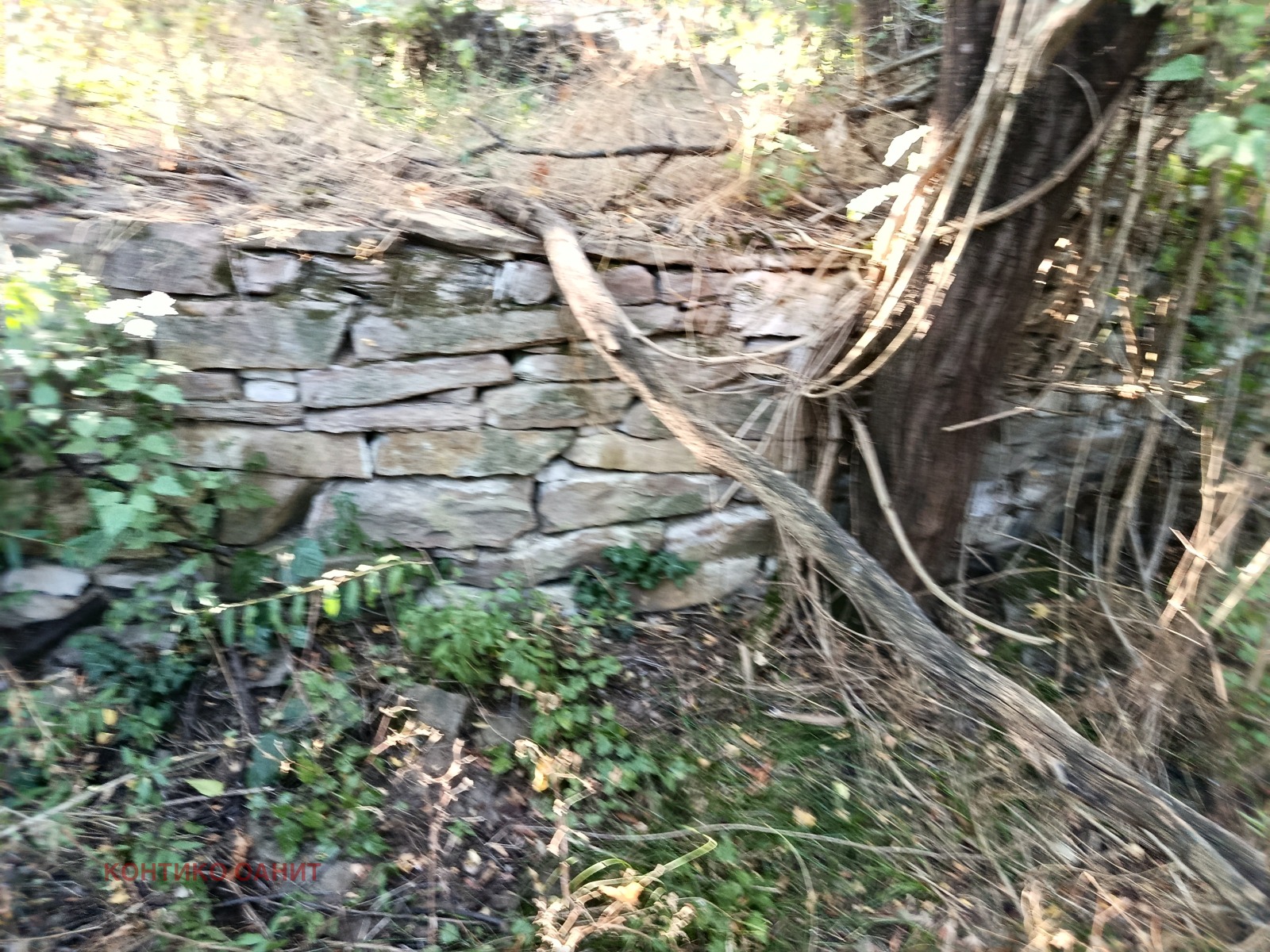 Продава ПАРЦЕЛ | Imot.bg — изображение 15