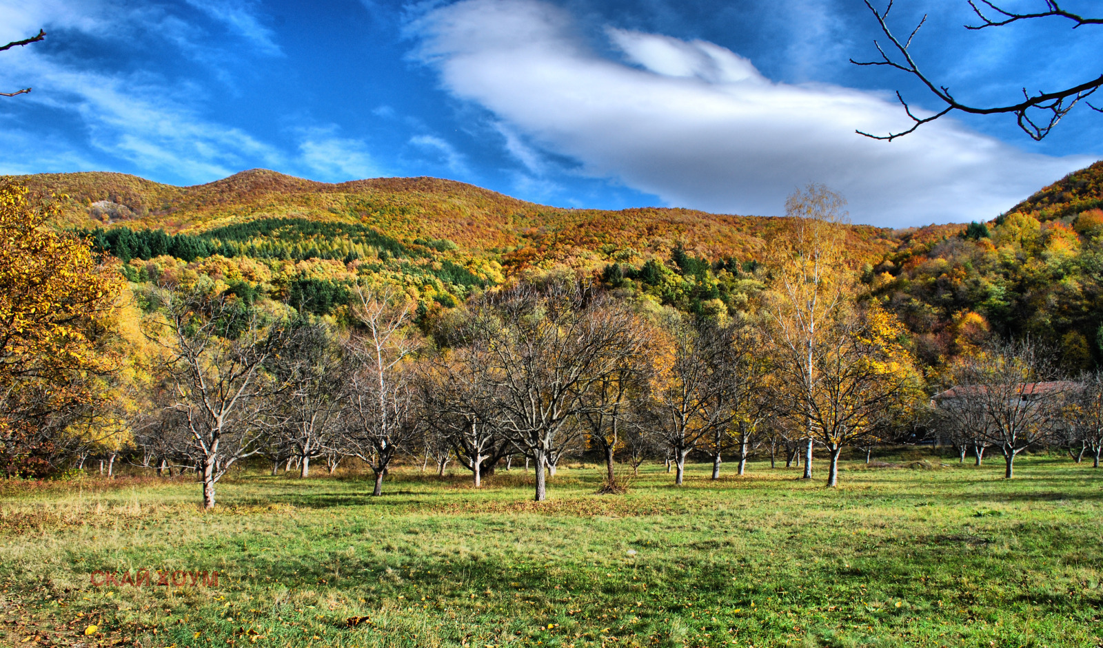 ������� ������ | Imot.bg � ����������� 1