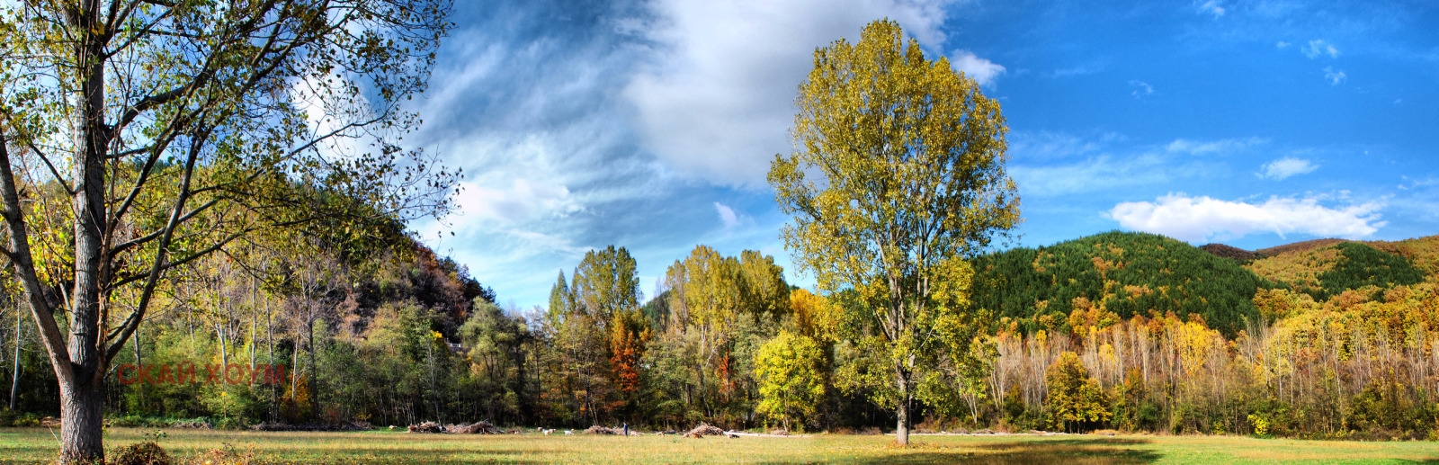 ������� ������ | Imot.bg � ����������� 7