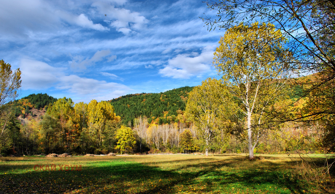 ������� ������ | Imot.bg � ����������� 5