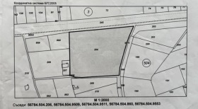 ������ ������� ������