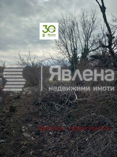 На продаж  Сюжет область Варна , Слънчево , 1088 кв.м | 29878429 - зображення [8]