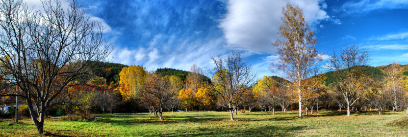 Продава ПАРЦЕЛ, гр. София, с. Панчарево, снимка 4 - Парцели - 53502789