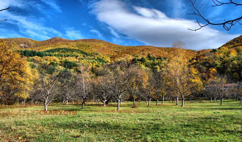 Продава ПАРЦЕЛ, гр. София, с. Панчарево