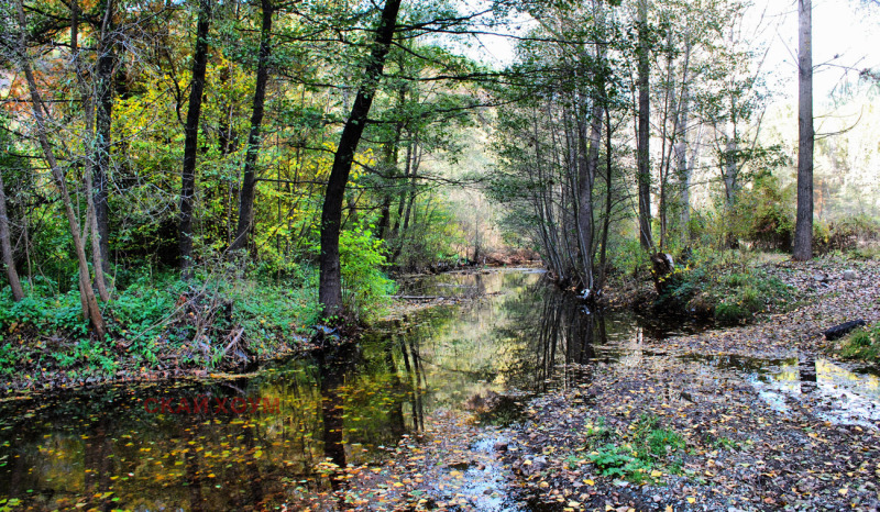 Продава ПАРЦЕЛ, гр. София, с. Панчарево, снимка 6 - Парцели - 53502789