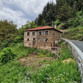 Hus Vievo, region Smolyan 6