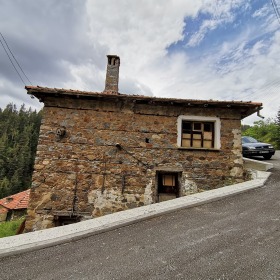 Hus Vievo, region Smolyan 3