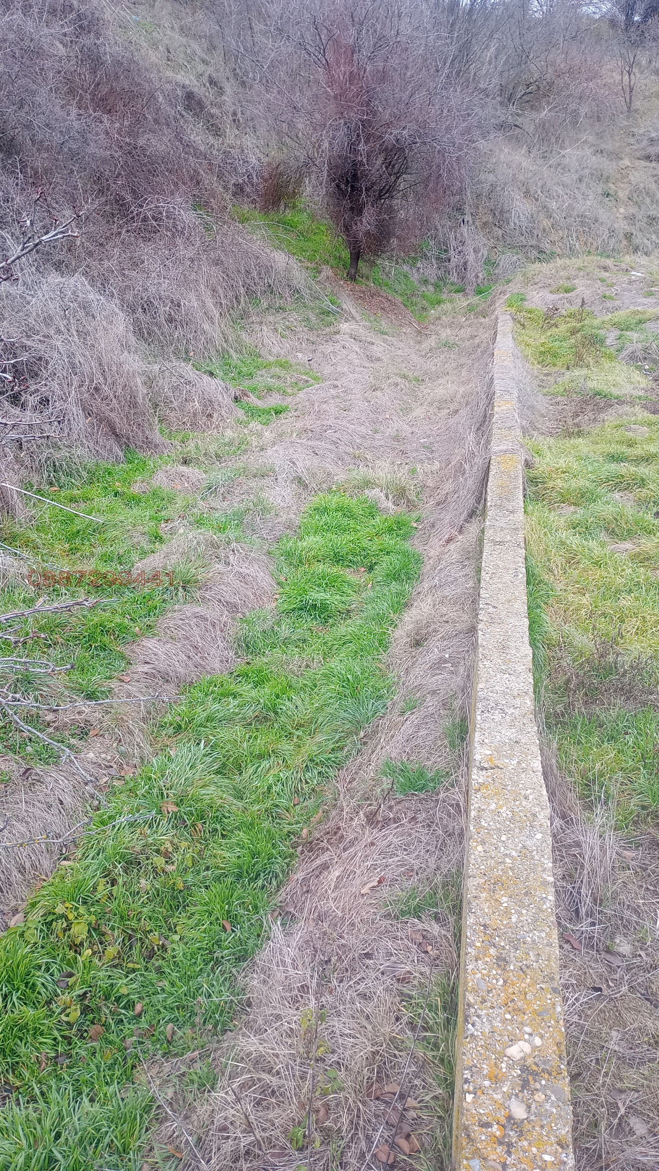 Продава ПАРЦЕЛ, с. Вълчек, област Видин, снимка 7 - Парцели - 53641874