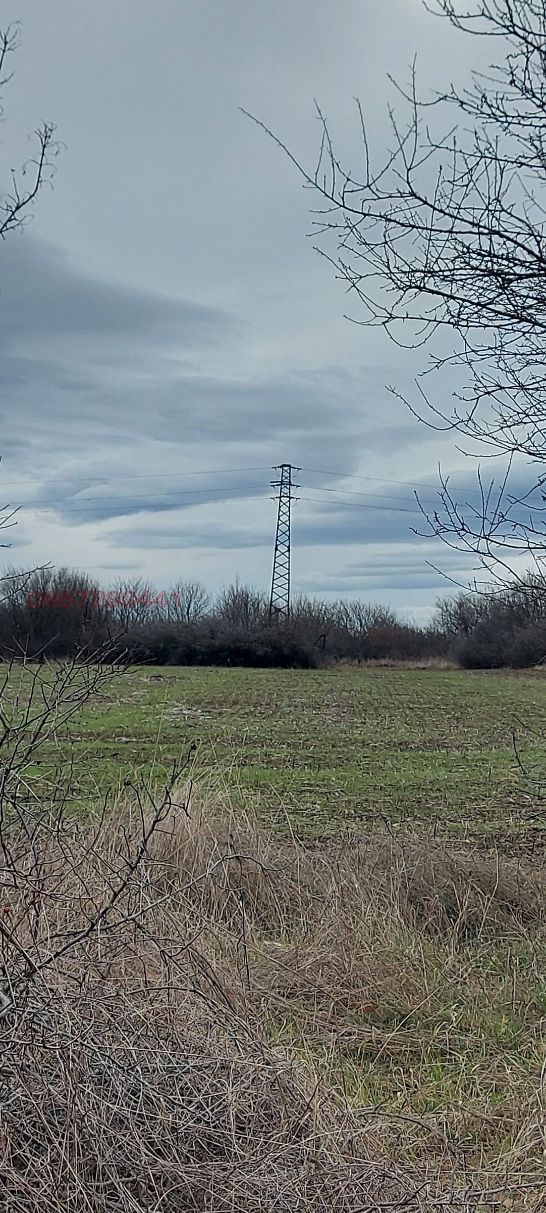 Продава ПАРЦЕЛ, с. Вълчек, област Видин, снимка 6 - Парцели - 53641874