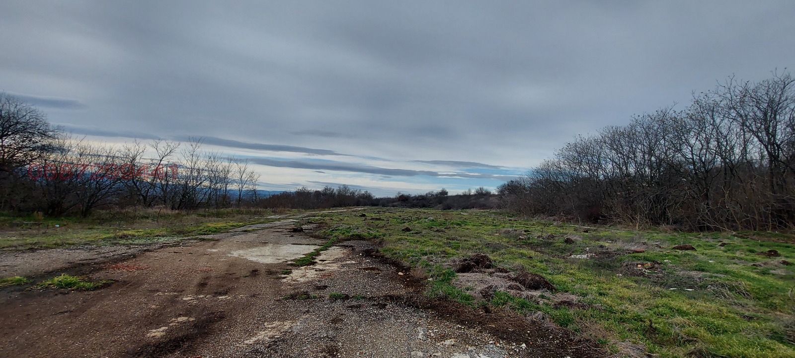 Продава ПАРЦЕЛ, с. Вълчек, област Видин, снимка 4 - Парцели - 53641874