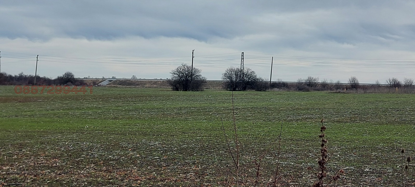 Продава ПАРЦЕЛ, с. Вълчек, област Видин, снимка 5 - Парцели - 53641874