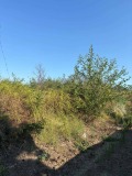 Продава ПАРЦЕЛ, с. Божурлук, област Плевен, снимка 2