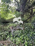 Продава  Къща област Пловдив , с. Виница , 50 кв.м | 69013110 - изображение [6]
