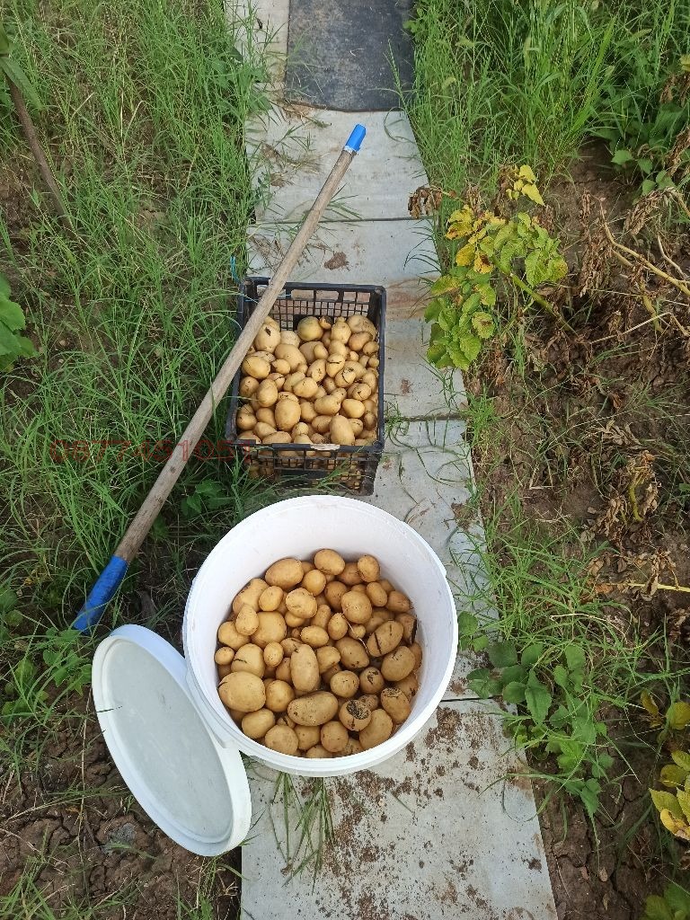 ������� ���� | Imot.bg � ����������� 7