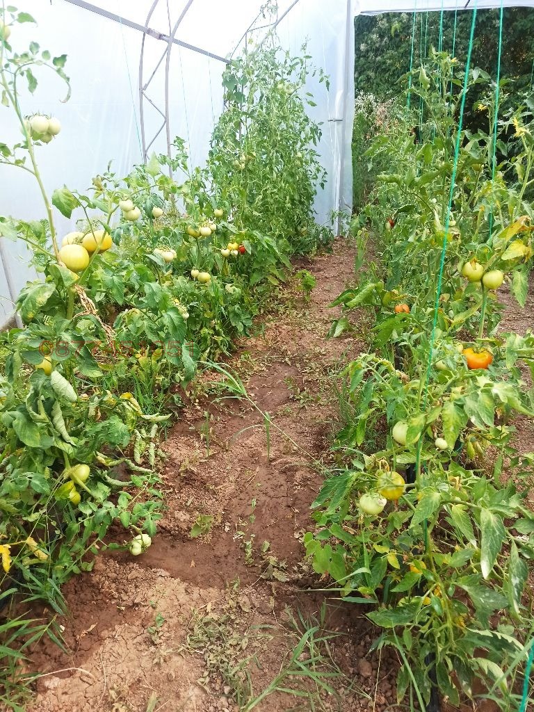 ������� ���� | Imot.bg � ����������� 3