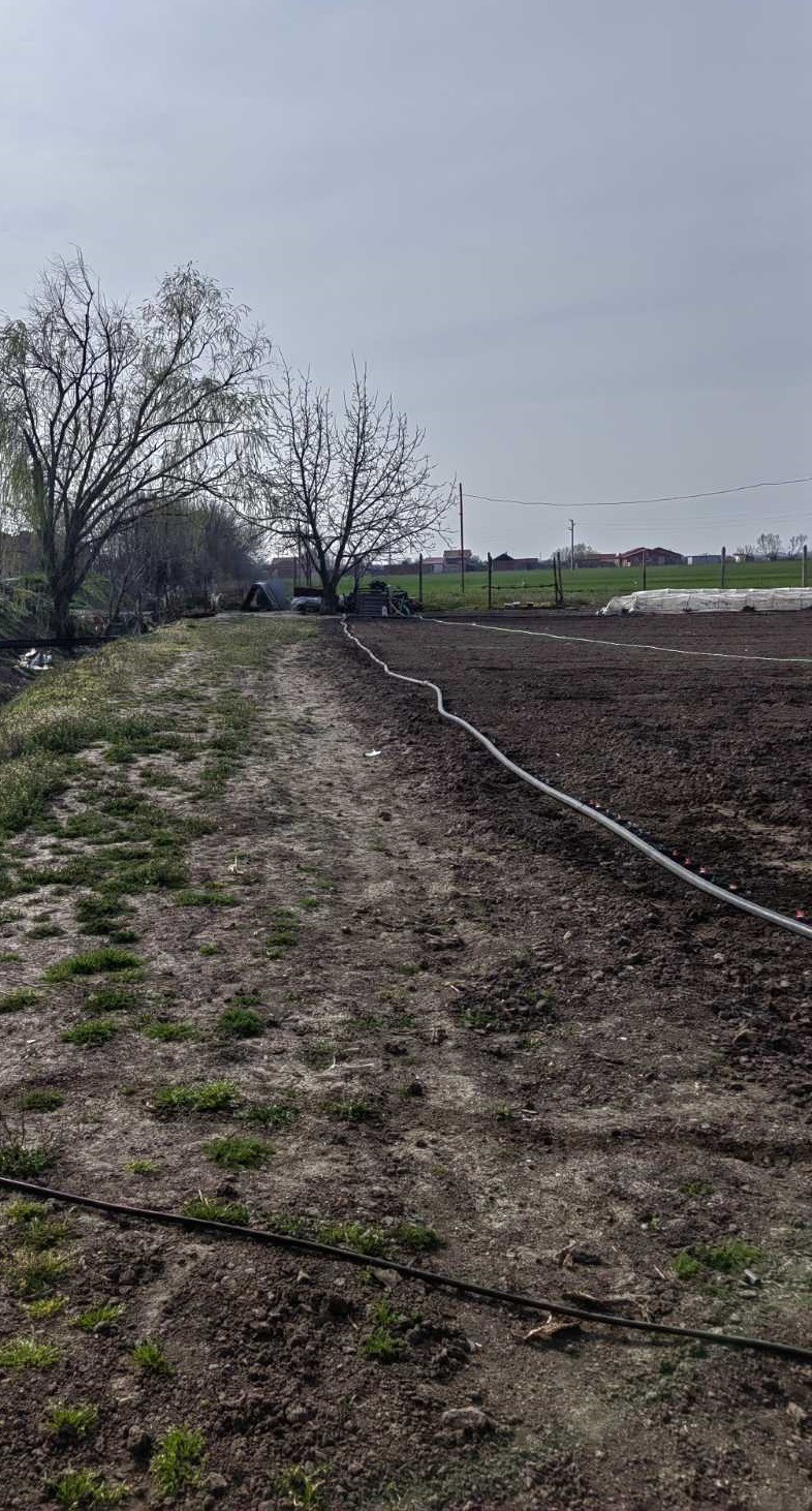 ������� ������ | Imot.bg � ����������� 5