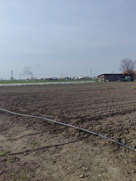 ����� ������� ������,�. ���������, ������ �������>