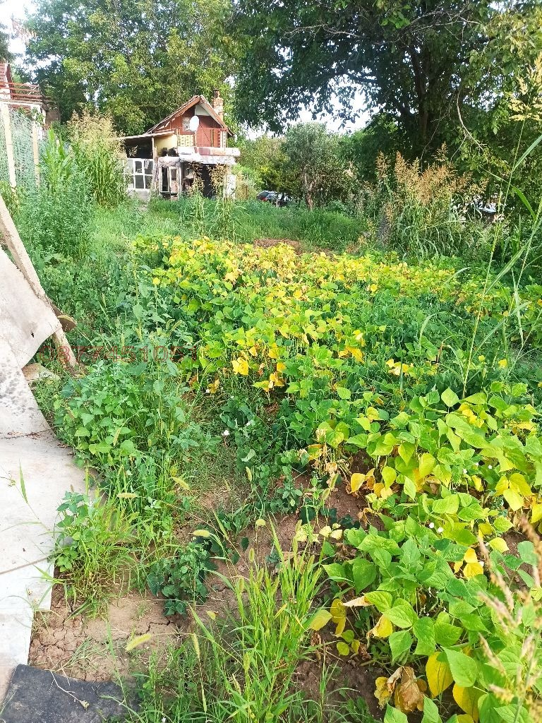 Продава ВИЛА, гр. Плевен, м-т Орлето, снимка 6 - Вили - 53353668