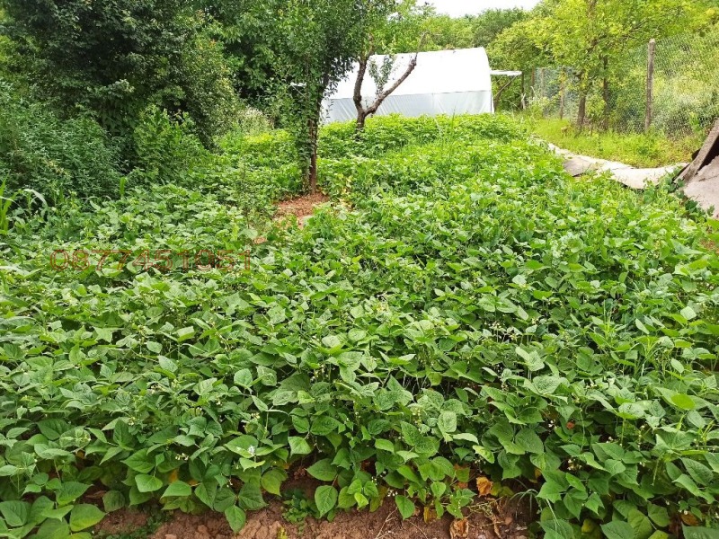 Продава ВИЛА, гр. Плевен, м-т Орлето, снимка 8 - Вили - 53353668