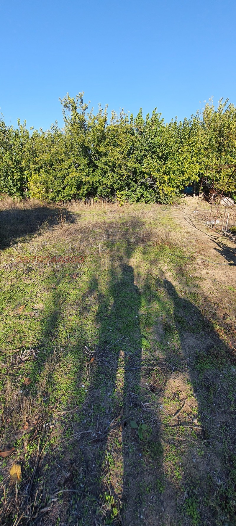 Продава ПАРЦЕЛ, с. Огняново, област Пазарджик, снимка 4 - Парцели - 52780171