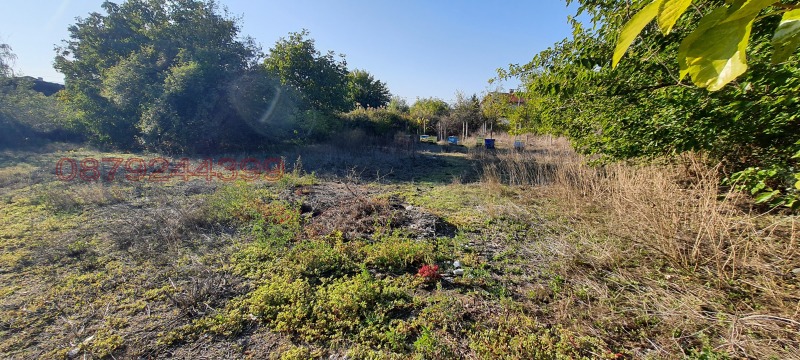 Продава ПАРЦЕЛ, с. Огняново, област Пазарджик, снимка 2 - Парцели - 52780171