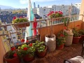 Продава 4-СТАЕН, град София, Дружба 2 • 290000 € • 13580910 — Holmes.bg