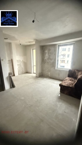 ����� ������� 3-�����,���� ������ �������, ���� ������