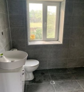 ������ ������� ����