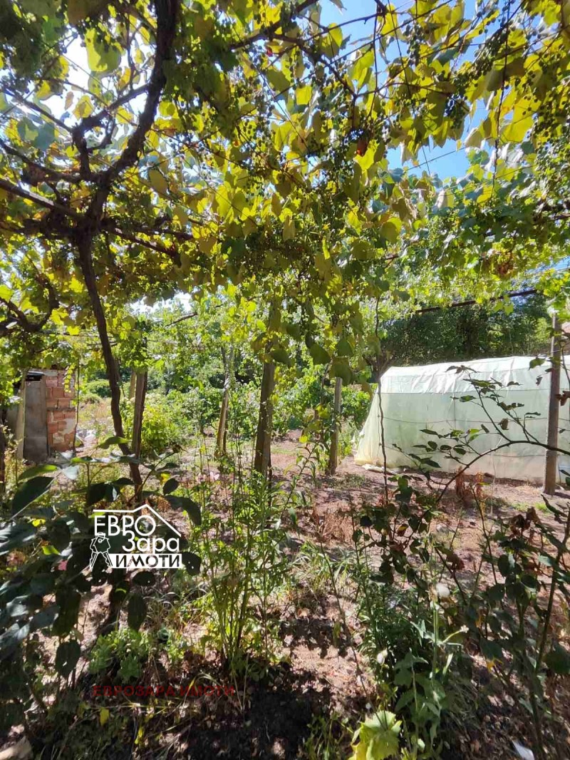 Продава КЪЩА, с. Арнаутито, област Стара Загора, снимка 13 - Къщи - 52305251