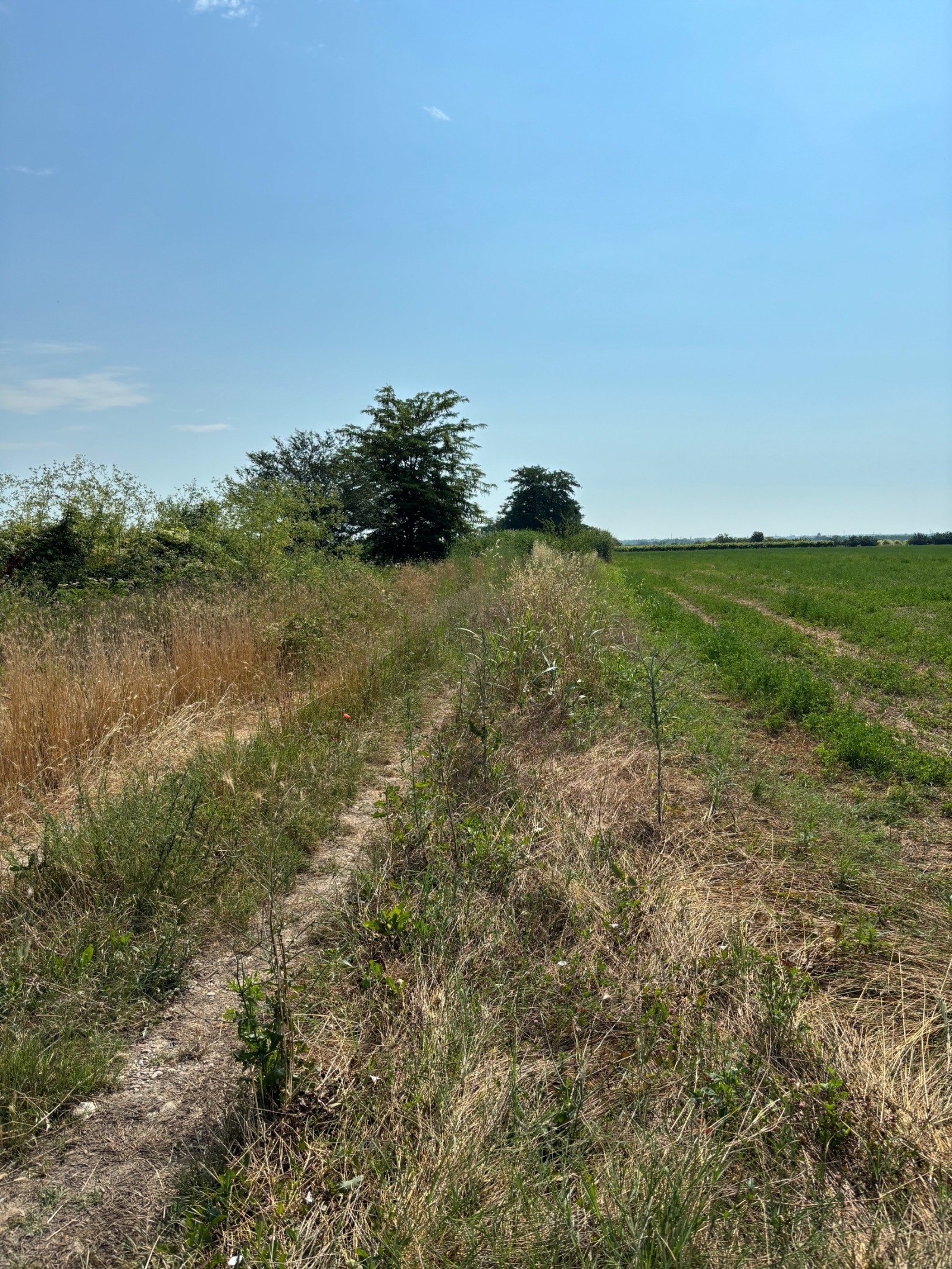 Продава ПАРЦЕЛ, с. Брестник, област Пловдив