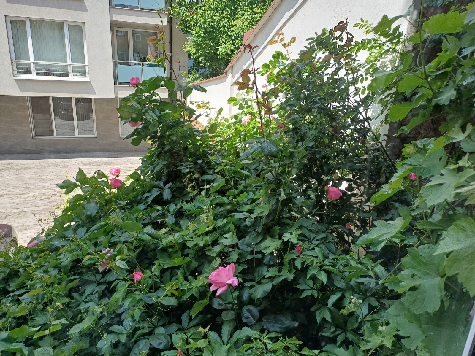 Продава 1-СТАЕН | Imot.bg — изображение 13