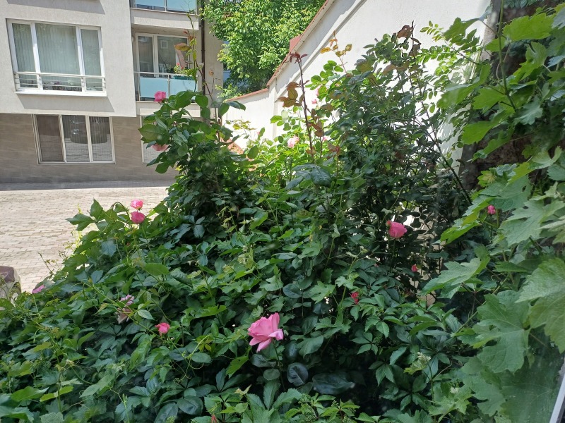 À vendre  Studio Sofia , Tsentar , 38 m² | 85737222 - image [13]