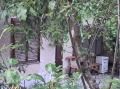 Продава КЪЩА, област София, с. Владо Тричков • 94000 € / 183848.02 лв. • 56339273 2