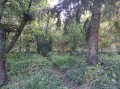 Продава КЪЩА, област София, с. Владо Тричков • 94000 € / 183848.02 лв. • 56339273 4