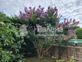 Продава  Къща град Варна , м-т Евксиноград , 350 кв.м | 63251510 - изображение [10]