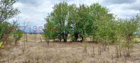 ������� ������ | Imot.bg � ����� ������ 6